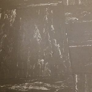 Meet your Posher, Bobbie